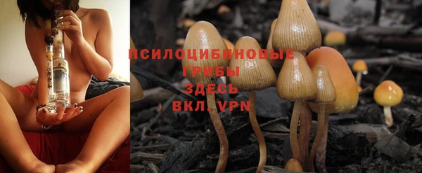 ALPHA-PVP Алексин