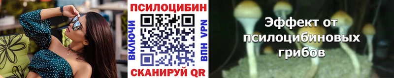 Псилоцибиновые грибы Magic Shrooms Купить где Энем